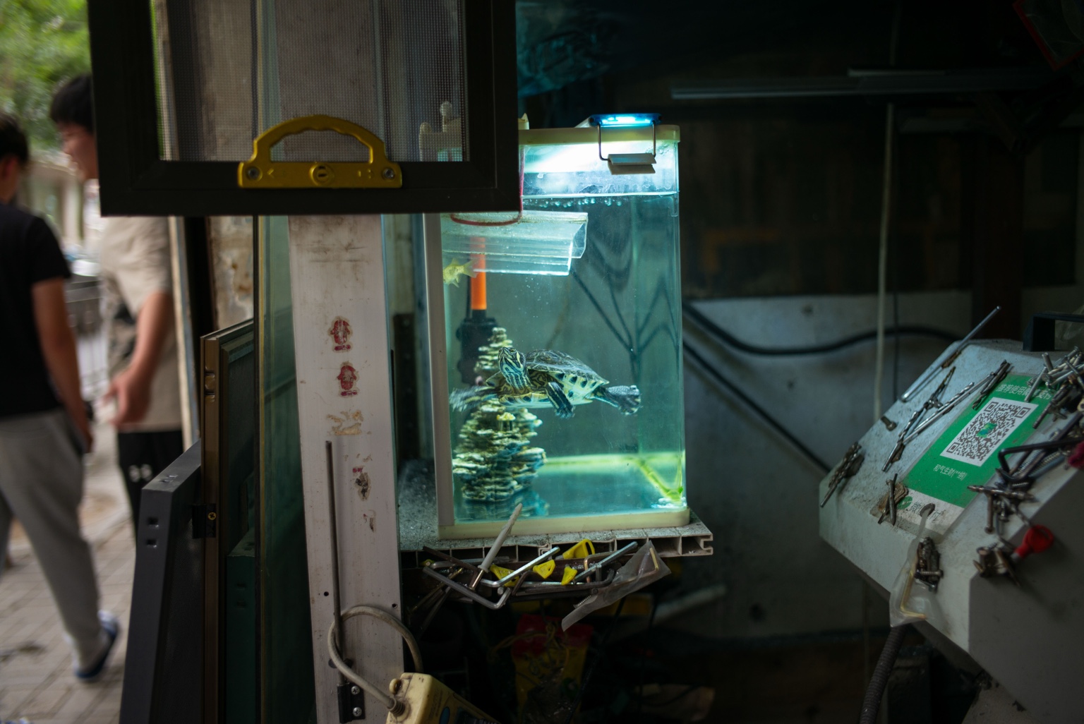 A turtle in a small workshop